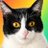 hellotantan2025's profile image