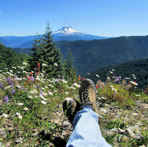 JoanMathew2012's profile picture. HPE NonStop Application Engineer & DBA. Keeping the UP in 'uptime' for your mission-critical applications! All opinions are mine.