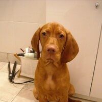 Tomas (@toto_crou) 's Twitter Profile