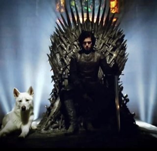 Jalan_qoyi's profile picture. Mine is a song of ice and fire...