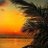 _7frf's profile image