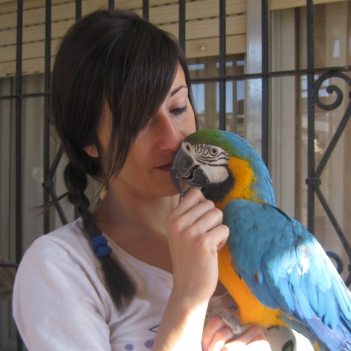 LuciaReguillo's profile picture. Veterinaria con madera de investigadora y catadora de jamón 100% ibérico de bellota. De vocación pintora artística, bohemia y solitaria.