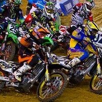 Tony Alessi (@tony800801) 's Twitter Profile