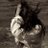 Massie5555's profile image
