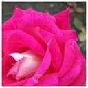 julia aston - @AstonJulia - Twitter