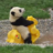 PandaFeiten_'s profile image
