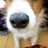 uskip0418's profile image