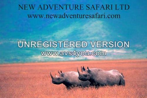 Save $500 per couple on  2012  Rwanda Gorilla Tours.  Book Now

With New Adventure Safari  you can easily take a Safari that includes everything. Try us.