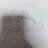 Br0tfXjIgG12094's profile image
