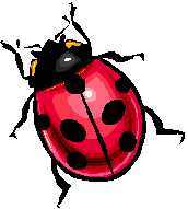 beadathomemom's profile picture. Mom of two, beading instructor of many.               Proverbs 20:15