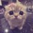 ilmbf2105's profile image