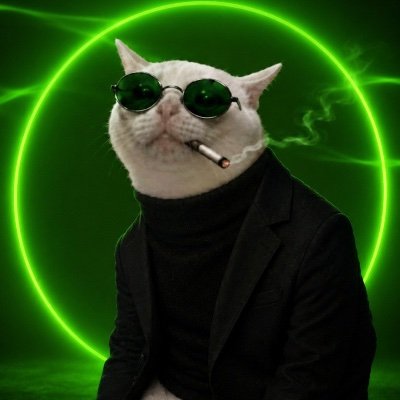 Feline Guardian