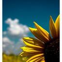 Crystal Connor - @YourSista - Twitter