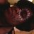 Ride0rdieChick2's profile image