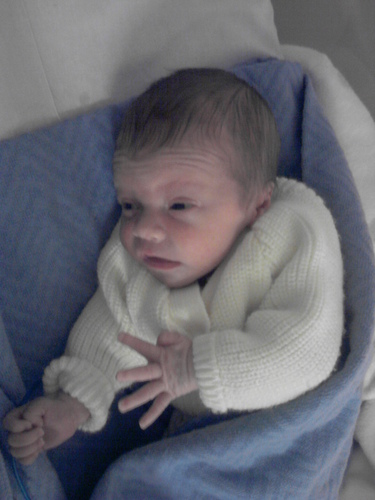 Franner1000's profile picture. 