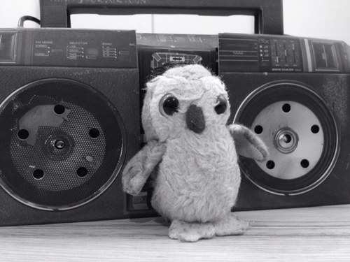 BertieOwl's profile picture. I tweet but also hoot. Partial to a good beat, a good meal and a good laugh. Cute critter pride.