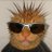ollestall's profile image