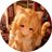 Chauchan9249's profile image