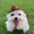 Milit0w0's profile image