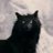 CaninusDei's profile image