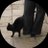 iijul7's profile image