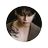 Jafneruby's profile image