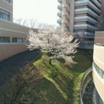 東京農業大学厚木キャンパス農友会総務部 Nodai Atsugi Twitter