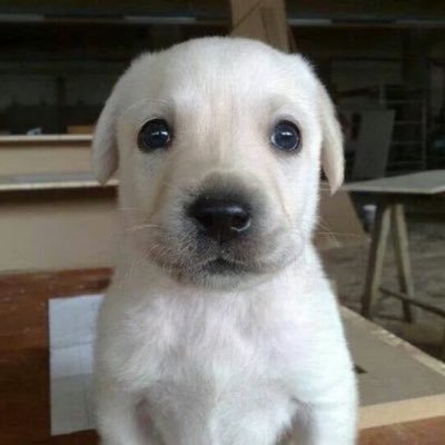 unafunhada Profile Picture