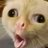 Zeer1993's profile image