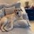 Giselis645's profile image
