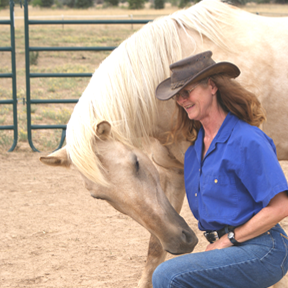 Horsemanship for Today's Rider