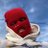 younglights_'s profile image