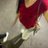 Marwa02822's profile image
