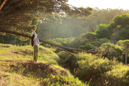 salolim's profile picture. 