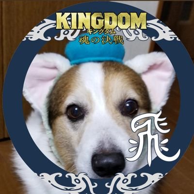 好き…動物(コーギー飼ってました) ☆ Disney ☆ 山﨑賢人 ☆  久保田利伸