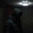 o_alali_cs's profile image