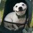 PenvenPhilippe's profile image
