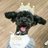 hogocafe_tachi's profile image