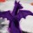 0xglgl's profile image