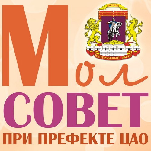 Молодежный общественный совет при префекте ЦАО города Москвы. Зонтичная организация молодежного сообщества центра столицы .