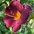 Maska_Wnet's profile image