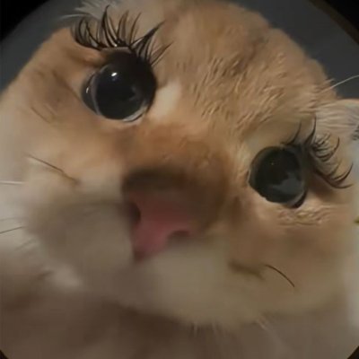 kiki