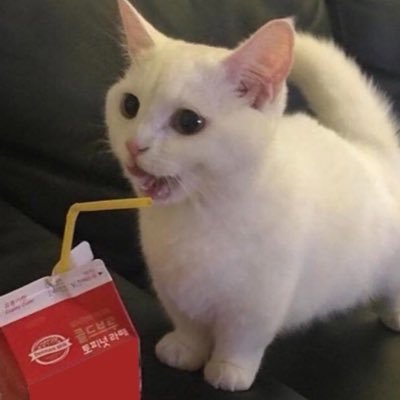 🥛MilkDrinker🥛🕯️🐛
