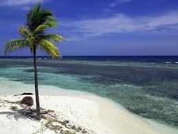 oficialpedrob's profile picture. 