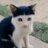 mihave__'s profile image