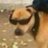 tungstein04's profile image
