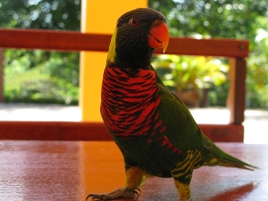 bangkokbronnie's profile picture. Media and social trends, ecology, Thailand news