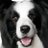 qq_qq_dot's profile image