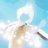 vo795250's profile image