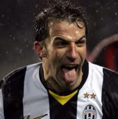 SalimShaami's profile picture. 